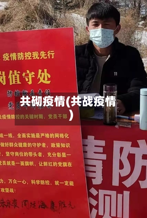 共砌疫情(共战疫情)