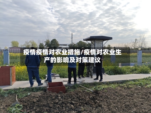 疫情疫情对农业措施/疫情对农业生产的影响及对策建议