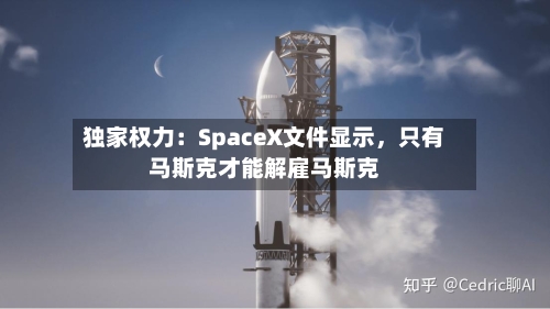 独家权力：SpaceX文件显示，只有马斯克才能解雇马斯克-第2张图片