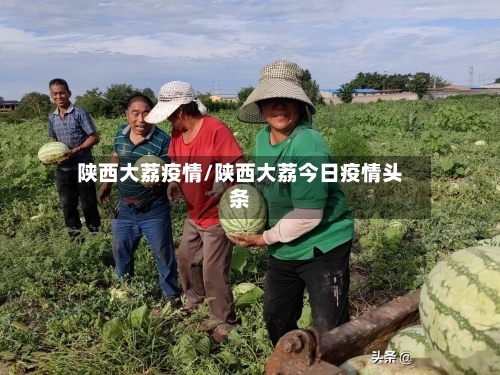 陕西大荔疫情/陕西大荔今日疫情头条