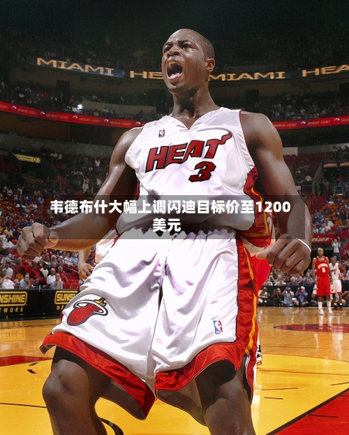 韦德布什大幅上调闪迪目标价至1200美元