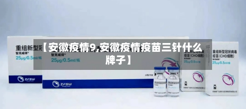 【安徽疫情9,安徽疫情疫苗三针什么牌子】-第2张图片