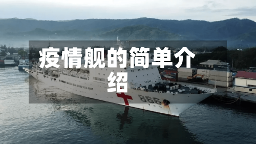 疫情舰的简单介绍