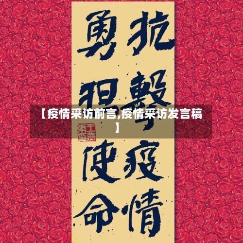 【疫情采访前言,疫情采访发言稿】
