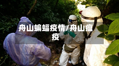 舟山蝙蝠疫情/舟山瘟疫