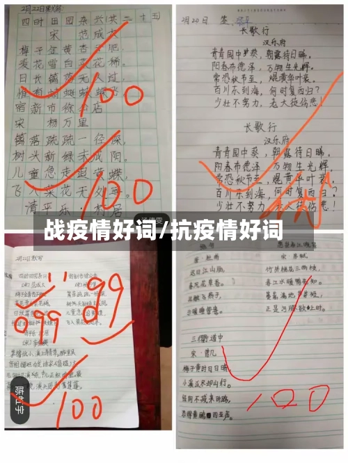 战疫情好词/抗疫情好词