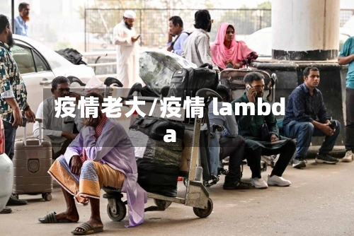 疫情老大/疫情 lambda