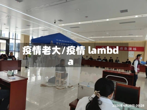 疫情老大/疫情 lambda-第2张图片
