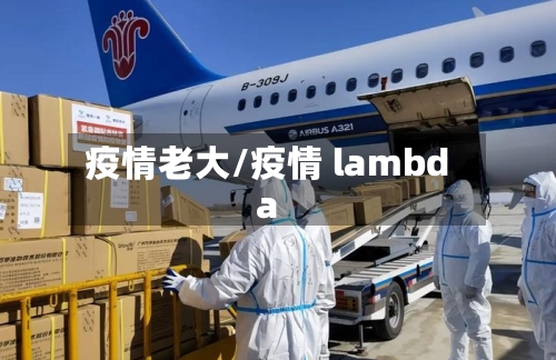 疫情老大/疫情 lambda-第3张图片
