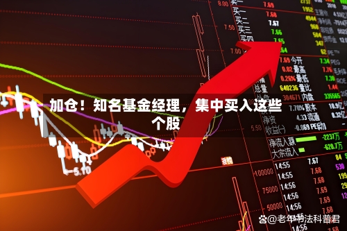 加仓！知名基金经理，集中买入这些个股