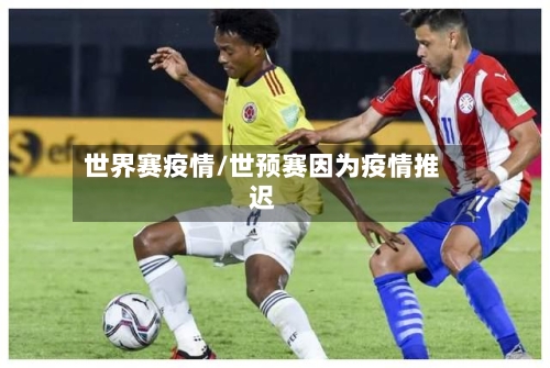 世界赛疫情/世预赛因为疫情推迟-第2张图片