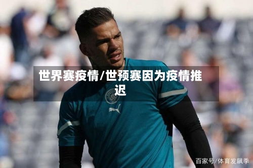 世界赛疫情/世预赛因为疫情推迟