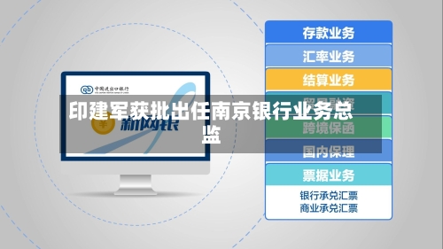 印建军获批出任南京银行业务总监