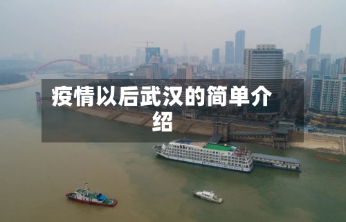 疫情以后武汉的简单介绍-第2张图片