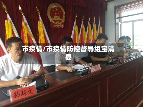 市疫情/市疫情防控督导组宝清县