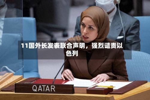 11国外长发表联合声明，强烈谴责以色列-第2张图片