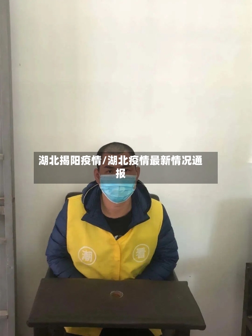 湖北揭阳疫情/湖北疫情最新情况通报-第3张图片