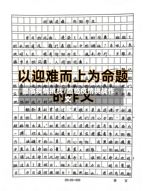 面临疫情挑战/面临疫情挑战作文