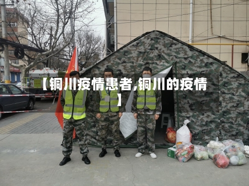 【铜川疫情患者,铜川的疫情】