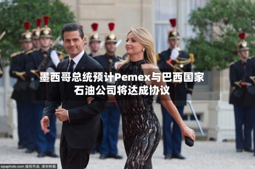 墨西哥总统预计Pemex与巴西国家石油公司将达成协议
