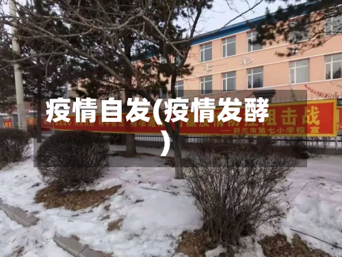 疫情自发(疫情发酵)-第3张图片