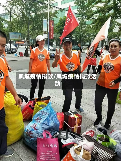 凤城疫情捐款/凤城疫情捐款活动