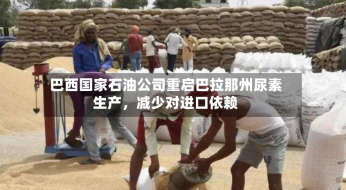 巴西国家石油公司重启巴拉那州尿素生产	，减少对进口依赖-第2张图片