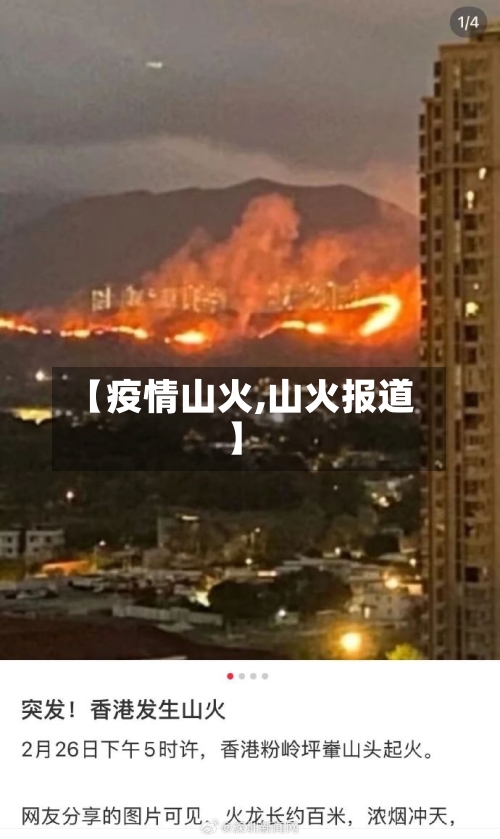 【疫情山火,山火报道】