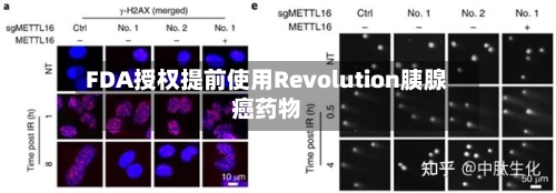 FDA授权提前使用Revolution胰腺癌药物