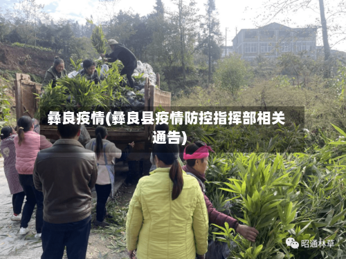 彝良疫情(彝良县疫情防控指挥部相关通告)-第2张图片