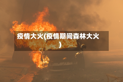 疫情大火(疫情期间森林大火)-第3张图片