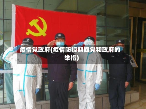 疫情党政府(疫情防控期间党和政府的举措)
