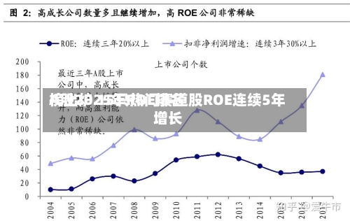 A股2025年ROE排名榜出炉 15只热门赛道股ROE连续5年增长
