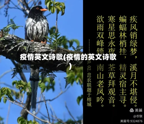 疫情英文诗歌(疫情的英文诗歌)