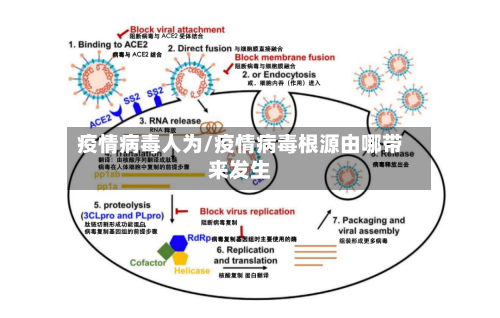 疫情病毒人为/疫情病毒根源由哪带来发生