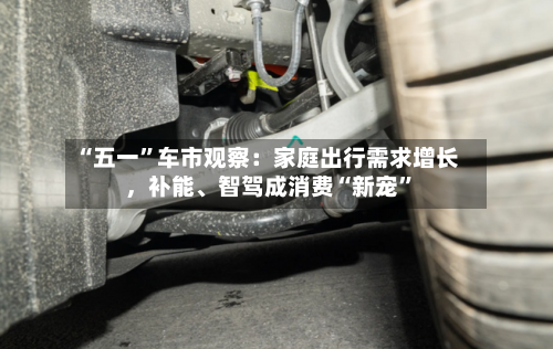 “五一”车市观察：家庭出行需求增长，补能、智驾成消费“新宠	”-第2张图片