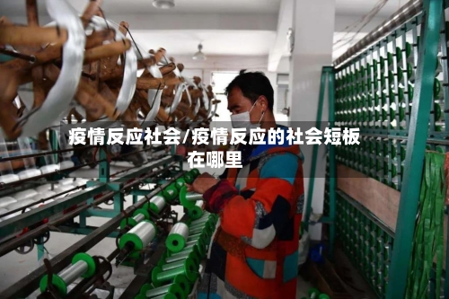 疫情反应社会/疫情反应的社会短板在哪里
