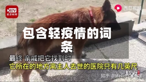 包含轻疫情的词条