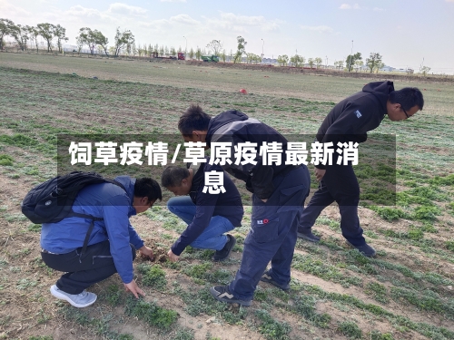 饲草疫情/草原疫情最新消息-第3张图片