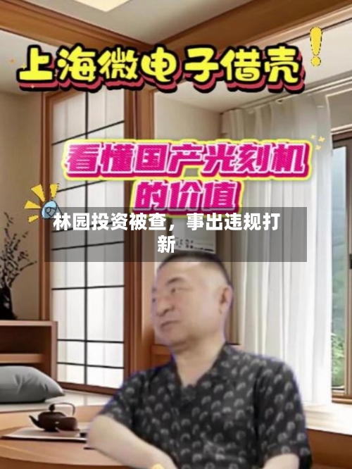 林园投资被查	，事出违规打新-第2张图片