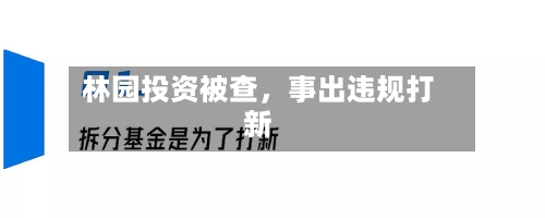 林园投资被查	，事出违规打新-第3张图片