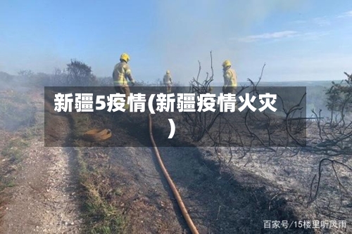 新疆5疫情(新疆疫情火灾)-第2张图片