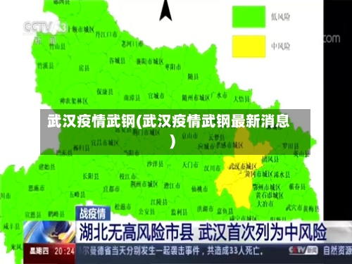 武汉疫情武钢(武汉疫情武钢最新消息)