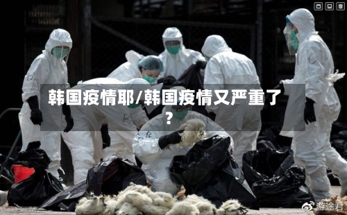 韩国疫情耶/韩国疫情又严重了?-第2张图片