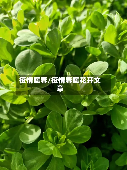 疫情暖春/疫情春暖花开文章-第2张图片