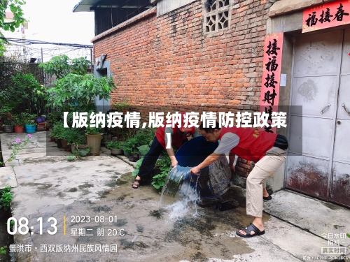 【版纳疫情,版纳疫情防控政策】-第3张图片