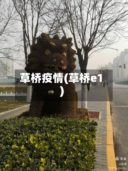 草桥疫情(草桥e1)-第2张图片