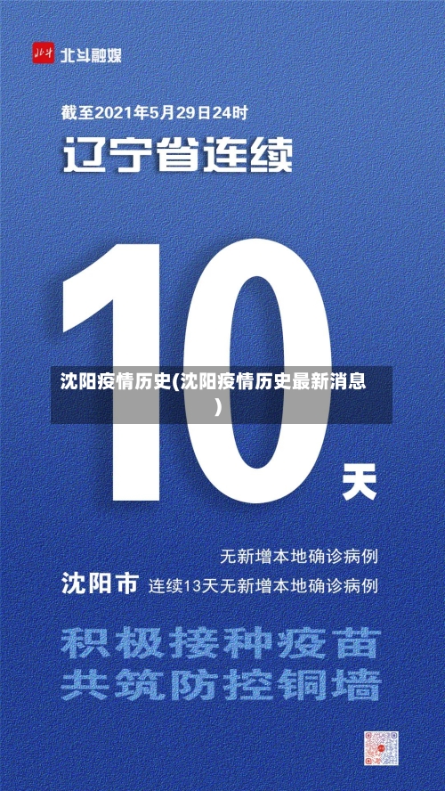沈阳疫情历史(沈阳疫情历史最新消息)-第3张图片