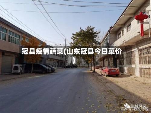 冠县疫情蔬菜(山东冠县今日菜价)