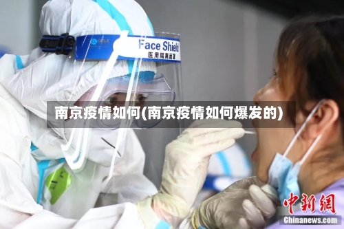 南京疫情如何(南京疫情如何爆发的)-第3张图片